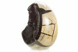 Septarian Dragon Egg Geode - Sparkly Black Crystals #329486-2